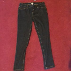 G.H Bass Navy Blue Jeggings